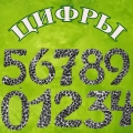 ЦИФРИ
