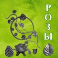 dlja_roz