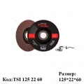 Круг шлифовочный TLS 125 22 60